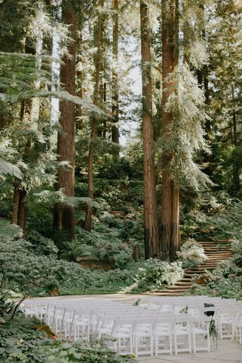 Redwood Wedding California, Outdoor Wedding Venues California, Nestldown Wedding, Forest Wedding Venue, Northern California Wedding Venues, Redwood Wedding, Forest Theme Wedding, Wedding Venues Ideas, Mountain Wedding Venues