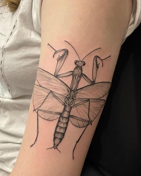 Insect Leg Tattoo, Praying Mantis Leg Tattoo, Bug Patchwork Tattoo, Tattoo Ideas Bugs, Absurdist Tattoo, Pray Mantis Tattoo, Leaf Bug Tattoo, Prey Mantis Tattoo, Stick Bug Tattoo