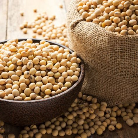 Healthy Beans, Soy Beans, Mogok, Soya Bean, Trading Tips, Soy Products, Soy Protein, Isolate Protein, Nutrition Labels