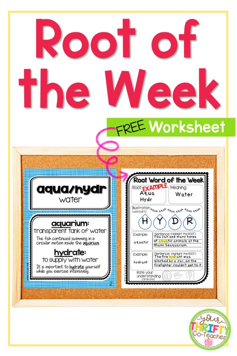 Morphology Bulletin Board, Morphology Notebook, Week Routine, Root Words Activities, Expand Vocabulary, Word Origins, Multisyllabic Words, Vocabulary Instruction, 5th Grade Reading