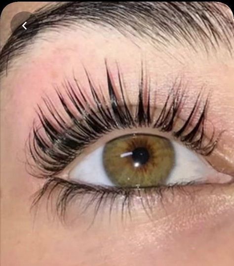 Studera Motivation, Perfect Eyelashes, Dream Vision Board, Life Vision Board, Vision Board Manifestation, Beauty Goals, Trening Abs, Longer Eyelashes, Long Lashes