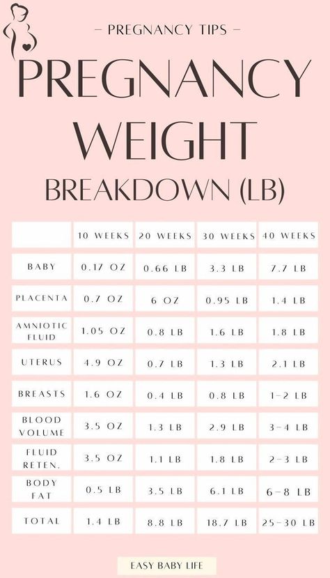 Pregnancy Weight Breakdown By Week (LB) (Early Pregnancy to Childbirth!) Pregnancy Trimester Chart, Trimester Chart, Pregnancy Weight Gain Chart, Weight Gain During Pregnancy, Pregnancy Chart, Pregnancy Timeline, Pregnancy Facts, Pregnancy Weight Gain, Pregnancy Week