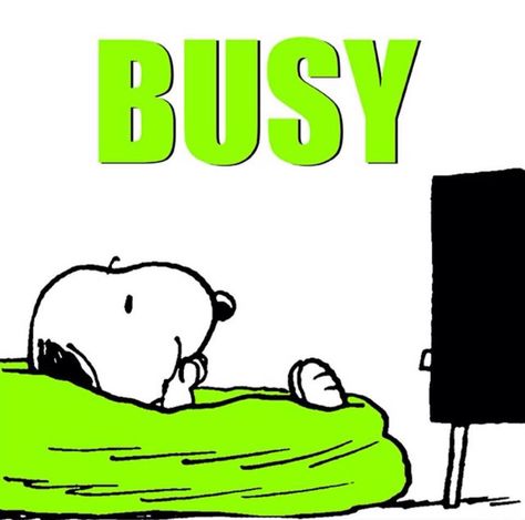 Don't get so busy and distracted, you lose sight of what's important in life! Humour, Snoopy Funny, Peanuts Cartoon, Peanuts Characters, Snoopy Quotes, Snoopy Pictures, Joe Cool, Snoop Dog, The Peanuts