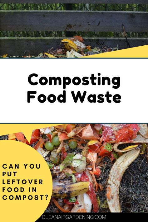 Food scraps in compost with text overlay composting food waste can you put leftover food in compost Composting Food Scraps, Air Garden, Leftover Food, How To Make Compost, Gardening Guide, Composting At Home, Food Scraps, Soil Health, Leftovers Recipes