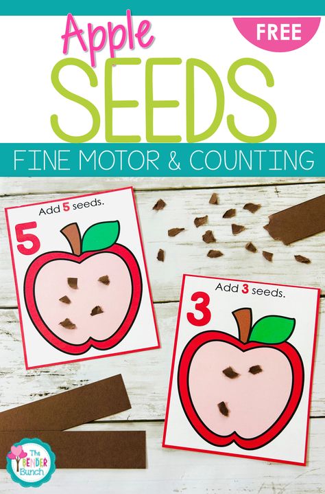 This resource packs a punch! Students identify numbers, count using 1:1 correspondence, and use their fine motor skills to tear pieces of construction paper to add seeds to each apple. Includes numbers 1 - 12. Apple Seed Counting Preschool, Apple Seed Counting, Homeschool Themes, Tearing Paper, Fine Motor Activity, Dot Worksheets, Toddler Arts And Crafts, Do A Dot, Creative Curriculum