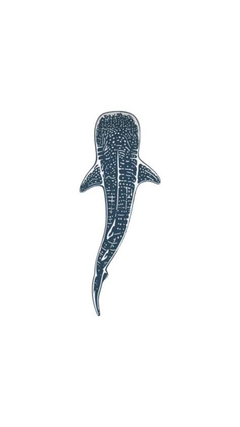 Love this Whale Shark Tattoo, Shark Wallpaper, Sea Life Wallpaper, Tiny Tattoos For Women, Shark Drawing, Ocean Girl, Shark Art, Shark Tattoos, Subtle Tattoos