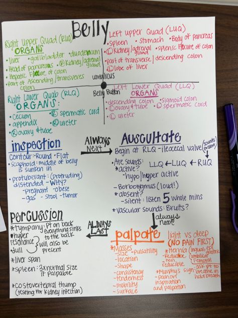 How To Study For Health Assessment, Gi Assessment Nursing, Focused Assessment Nursing, Abdomen Assessment Nursing, Abdominal Assessment Nursing, Physical Assessment Nursing Cheat Sheets, Health Assessment Nursing Notes, Physical Assessment Nursing, Nurse Assessment