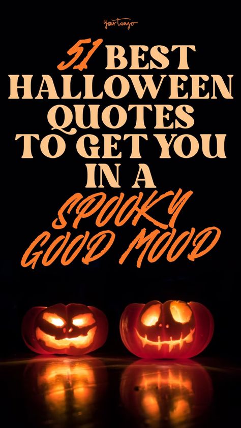 Halloween Quotes Movie, Romantic Horror, Horror Movie Quotes, Lantern Pumpkins, Creepy Movies, Halloween Quotes Funny, Spooky Movies, Romance Quotes, Best Horror Movies