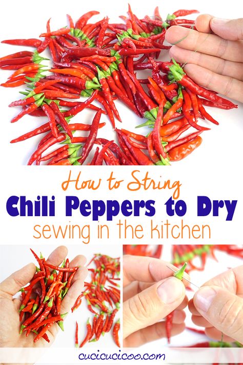 Learn how to string red chili peppers to dry with this easy sewing trick! Sew through the tops with needle and thread and hang until dry! Also included are special tips and ways to use the dried chillies! How To Dry Red Chili Peppers, Stringing Peppers To Dry, How To Dry Thai Chili Peppers, How To Dry Chili Peppers, Drying Chillies, Drying Chili Peppers, Freezing Veggies, Chili Peppers Decor, Dried Red Chili Peppers