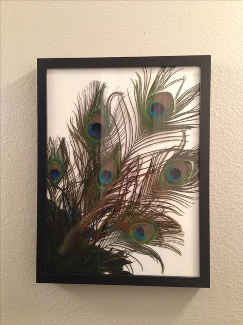 I just made this for my bathroom. Easy to do! A bunch of peacock feathers in a frame. I love it!!! Peacock Feather Wall Decor, Peacock Bathroom, Peacock Feather Decor, Cute Picture Frames, Peacock Crafts, Diy Luminaire, Feather Wall Decor, Wall Decor Diy, Picture Frame Crafts