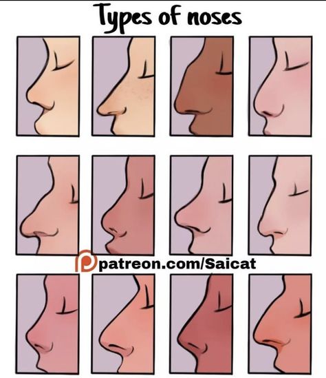 Nose References, Types Of Noses, الفن الرقمي, 얼굴 드로잉, Nose Drawing, Cool Pencil Drawings, Smink Inspiration, Body Reference Drawing, Drawing Expressions