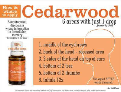 Young Living Cedarwood, Living Oils Recipes, Essential Oil Remedy, Young Living Essential Oils Recipes, Yl Oils, Essential Oils Herbs, Essential Oils Health, Cedarwood Oil, Yl Essential Oils