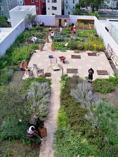 Fruit Garden Design, Rooftop Garden Urban, Funny Vine, Roof Garden Design, Vertical Vegetable Garden, Small Vegetable Gardens, Rooftop Design, Flower Garden Design, Patio Garden Design