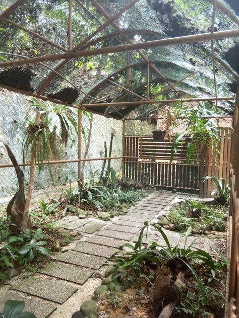 Things to Consider When Building an Outdoor Bird Aviary Large Bird Aviary Outdoor, Outside Aviary Ideas, Big Cage For Birds Outdoor, How To Build An Aviary, Birds Home Ideas, Bird Room Aviary, Outdoor Bird Avaries, Outdoor Parrot Cage, Outdoor Aviary Parrots