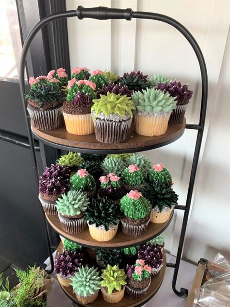 Gender Reveal Ideas Garden Theme, Growth Party Theme, Succulent Gender Reveal Party, Plant Theme Gender Reveal, Succulent Gender Reveal, Baby Shower Succulents, Plant Gender Reveal, Plant Themed Cupcakes, Garden Theme Wedding Shower Ideas