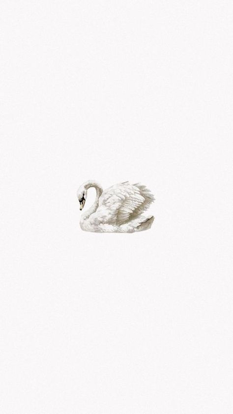 Swan Wallpaper Iphone, Wallpaper Aesthetic Home, Aesthetic Home Interior, Windows Xp Wallpaper, Floating Platform Bed, Little Mermaid Wallpaper, Swan Wallpaper, Floating Platform, Mermaid Wallpapers