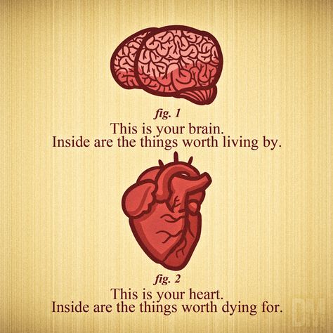 “Brain & Heart” by Diego Mendez. The brain IMAGINES a different world and invents it but to CREATE a better world then we alos have to Listen to the Heart. The Midnight Library Tattoo, Heart And Brain Quotes, Heart Vs Brain, Brains Quote, The Awkward Yeti, Heart And Brain, The Human Heart, طابع بريدي, The Human Brain