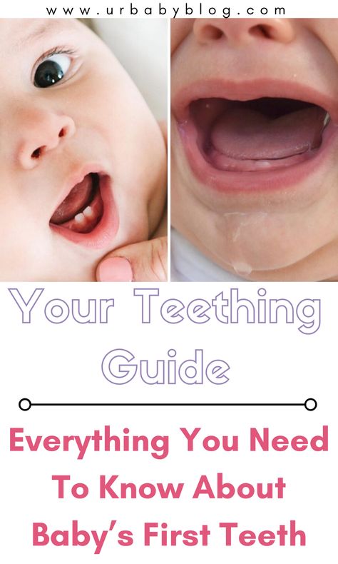 Teething Chart By Age, Teething Pain Relief Baby, When Do Babies Start Teething, Teething Stages Baby, Sore Gums Remedy, Teething Baby Remedies, Baby Teeth Chart, Diy Teething Toys, Baby Teething Chart