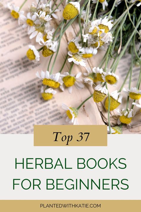 Herbal Books for Beginners Free Herbalism Courses, Learning Herbalism, Herbalism Books, Beginner Herbalist, Herbalism For Beginners, Herbalist Recipes, Herbal Books, Herbs Medicine, Books For Beginners