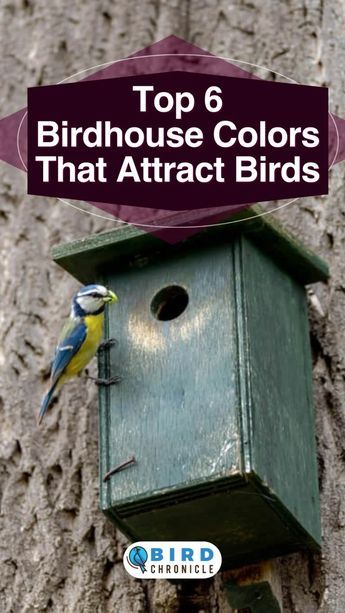 Birdhouse Fence Ideas, Front Yard Bird Sanctuary, Natural Bird Houses, Bird House Patterns Free, Birdhouse Plans Free, How To Attract Birds To Your Yard, Painting Birdhouses Ideas Simple Diy, Unique Bird Houses Diy Birdhouse Designs, Painting Birdhouses Ideas