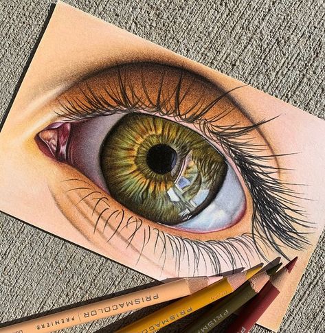 Eye Painting Realistic, Eye Drawing Prismacolor, Prisma Color Drawings Realistic, Realistic Eye Drawing Color Pencil, Realistic Eye Drawing Color, Realistic Eye Painting, Realistic Colored Pencil Drawings, Realistic Drawings Colored Pencils, Ipad Art Procreate