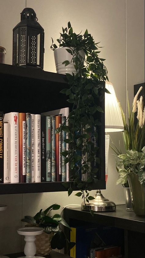 Bookshelves Aesthetic, Aesthetic Bookshelves, Black Bookshelves, Black Wall Shelves, Aesthetic Plants, Bookshelf Ideas, Black Bookcase, Gaming Office, Black Room