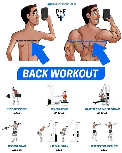 Back Workouts, Good Back Workouts, Rear Delt, Gym Routine, Workout Plan Gym, Weight Workout Plan, Gymnastics Workout, Workout Regimen, Do Exercise