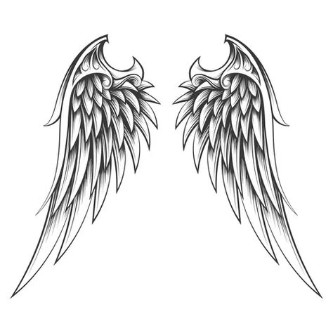 Wings drawn in engraving style tattoo Royalty Free Vector Realistic Wings Tattoo, Wings Drawing Tattoo, Tattoo Of Wings, Engraving Style Tattoo, Angel Wings Tattoo Stencil, Realistic Wings, Wings Tattoo Design, Wings Tattoos, Alas Tattoo