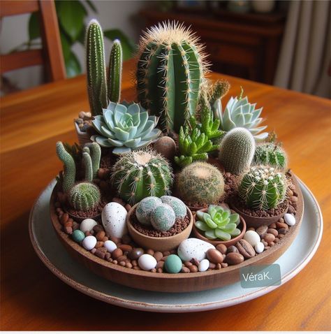 Cacti Pot Ideas, Pots Ideas For Plants, Terriums Ideas Succulents, Cactus Succulent Arrangement, Indoor Cactus Garden Ideas, Cactus Arrangements Ideas, Cactus Garden Indoor, Terrarios Suculentas Ideas, Cactus Planter Ideas