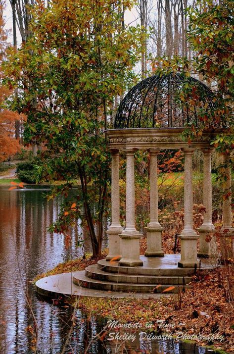 Fall Gazebo, Gardens Photography, Fall Photography Nature, Photography Autumn, Garden Photography, Photography Landscape, Photography Subjects, Garden Care, Autumn Landscape