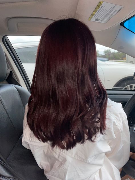 Dark Red Hair Over Brown, Dark Red Hair Color On Brown Hair, Dark Cherry Red Hair Pale Skin, Brown Hair Over Red Dye, Red Hair Dye On Dark Brown Hair, Natural Wine Red Hair, Cherry Coke Hair Color Aesthetic, Velvet Brown Hair Color, Dark Cherry Coke Red Hair