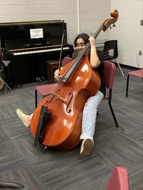 Bass Violin, Cello Playing, Double Bass Aesthetic, Double Bass Art, Orchestra Humor, Double Bass Player, Musician Room, Musician Jokes, Violin Family