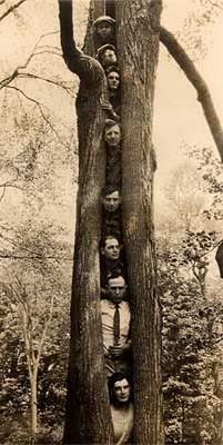 tree people Weird Trees, Bizarre Photos, Weird Vintage, Tree People, Strange Photos, Unique Trees, Peregrine, Foto Art, Photo Vintage