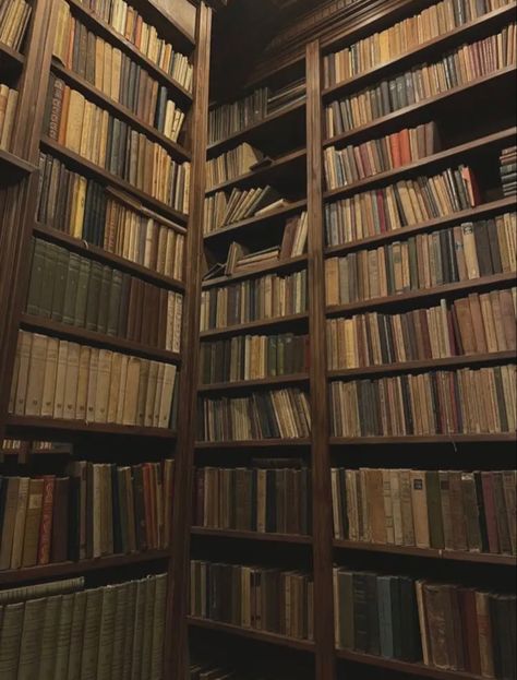 Library Books Aesthetic, Old Libraries Aesthetic, Books Old Aesthetic, Book Library Aesthetic, Old Book Aesthetic, Books Library Aesthetic, Old Books Aesthetic, Old Library Aesthetic, Bookshelves With Books