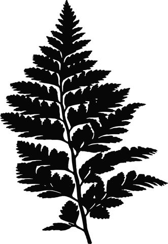 Fern, Leaf, Leaves, Plant Fern Forest, Silhouette Drawing, Leaf Silhouette, Plant Vector, Leaf Template, Fern Leaf, Fern Plant, Silhouette Stencil, Free Plants