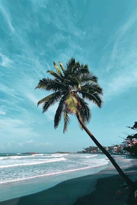 Kovalam Beach, Thiruvananthapuram, Kerala Nature, Thiruvananthapuram, Kovalam, Kovalam Beach, About Kerala, Kerala Travel, Cultural Capital, Western Ghats, When Was The Last Time