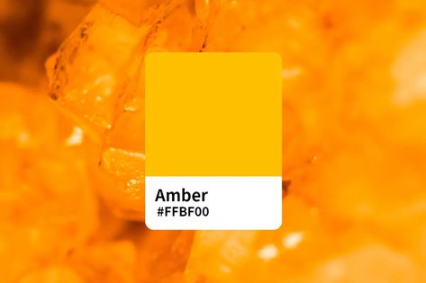 Amber Eyes Color Palette, Amber Colour Palette, What Color Would I Be, Amber Color Palette, Amber Palette, Amber Core, Color Christmas Lights, Amber Eyes Color, Color Generator