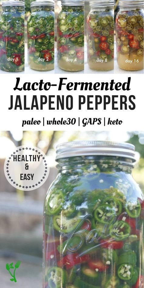 Lacto-Fermented Jalapeño Peppers - Prepare & Nourish Fermenting Jalapeno Peppers, Ferment Jalapeno, Fermenting Peppers, Fermented Jalapeños, Fermented Jalapenos, Fermented Peppers, Fermenting Veggies, Fermented Recipes, Fermented Vegetables Recipes