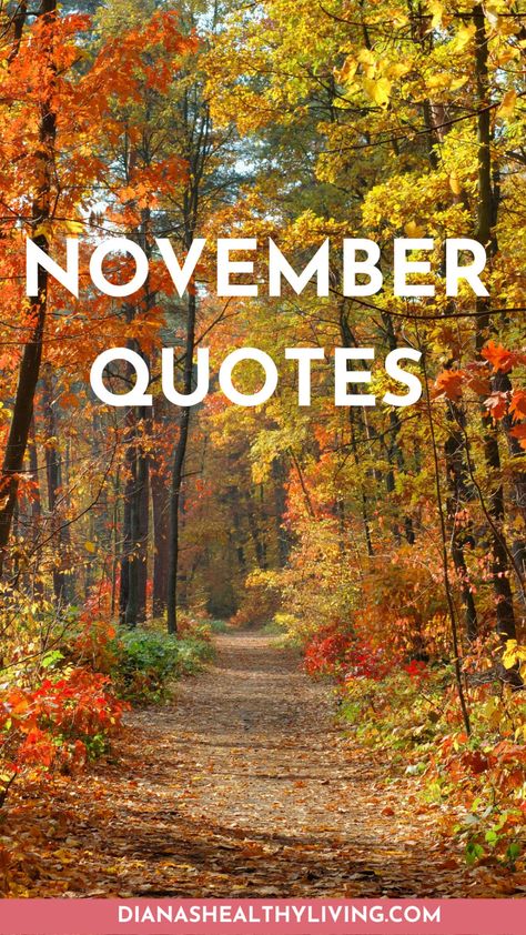 november quote november quotes quote about november quotes about november quotes for november quotes on november happy november quotes november month quotes november quote of the month quotes for the month of november november inspirational quotes november quotes for inspiration november sayings quotes about november month quotes on november month november quotes and sayings november motivational quotes quoe inspirational quotes for november november love quotes november 1st quotes november phra November Month Quotes, Happy November Quotes, November 1st Quotes, Quotes About November, Sweet November Quotes, November Sayings, Quotes For November, Happy New Month November, Quote Of The Month