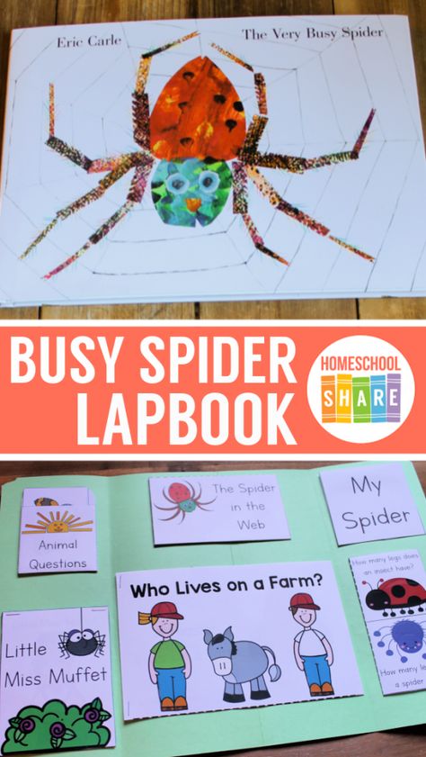 The Very Busy Spider Activities & Printables - Homeschool Share Busy Spider Activities, The Very Busy Spider Activities, Very Busy Spider Activities, Spider Unit Study, Spider Unit, The Very Busy Spider, Spider Activities, Spider Book, Study Printables