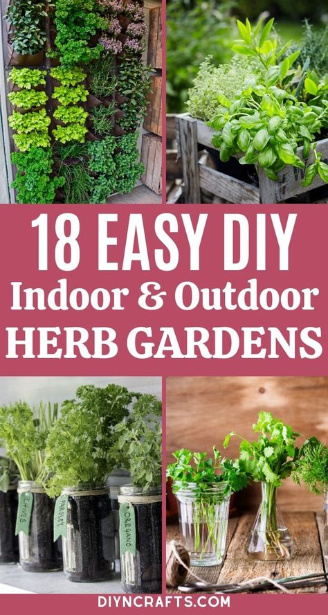 WOW! This list of fun and super easy DIY herb gardens is just what you need! Indoor and outdoor versions make it easy for anyone to grow herbs at home! #HerbGarden #Gardening #Garden #FreshHerbs #BackyardGarden Veg Gardens, Growing Herbs At Home, Bottle Planters, Indoor Herb Garden Diy, Standing Garden, Herb Garden Wall, Diy Container, Homesteading Tips, Gardening Food