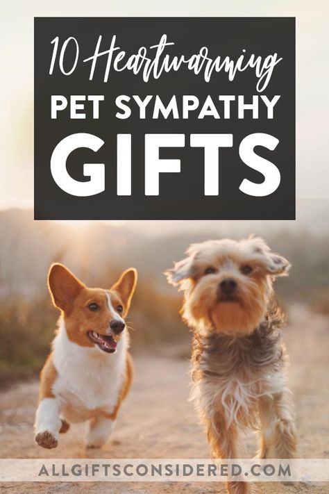 Gifts For Dogs That Have Passed, Pet Died Gift, Condolences For Pets Dogs, Gifts For Someone Who Lost A Dog, Pet Memorial Gifts Dogs, Memorialize Your Pet, Loss Of Pet Gift Ideas, Pet Loss Gift Ideas Diy, Pet Dog Memorial