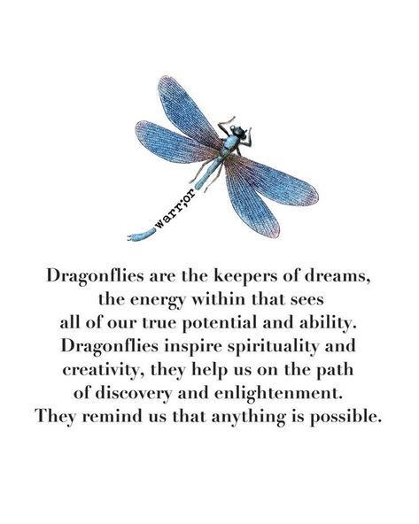 Dragonfly Meaning, Dragonfly Quotes, Dragonfly Tattoo Design, Dragonfly Gifts, Dragonfly Dreams, Dream Symbols, Dragonfly Art, Symbols And Meanings, Dragonfly Tattoo