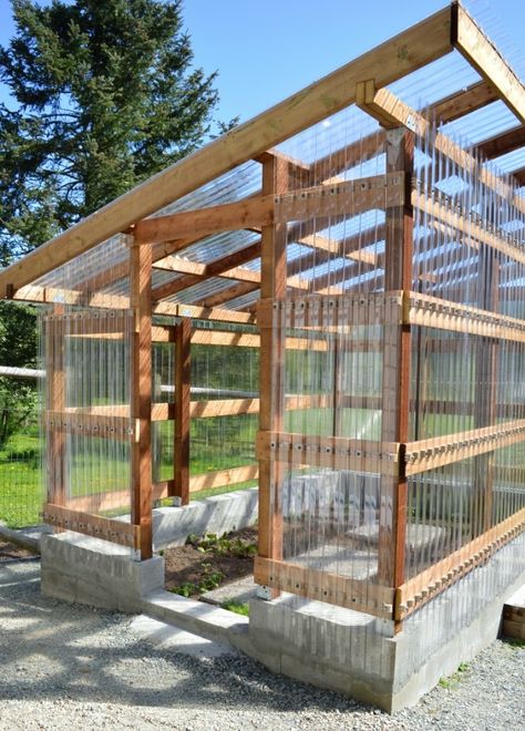 Diy Greenhouse Plans, Outdoor Greenhouse, Diy Cushions, Greenhouse Shed, Backyard Greenhouse, Greenhouse Plans, Patio Furniture Ideas, Diy Greenhouse, Garden Greenhouse