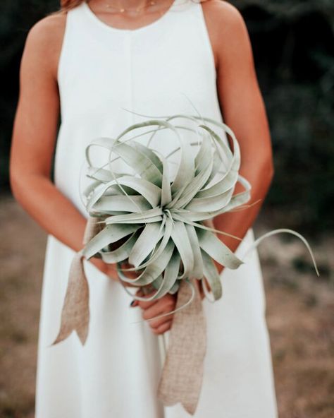 Wedding With Crystals, Moon Inspired Wedding, Whimsical Wedding Bouquet, Wild Wedding Bouquet, Puppy Wedding, Tropical Wedding Bouquets, Unique Wedding Bouquet, Fern Wedding, Seashell Wedding