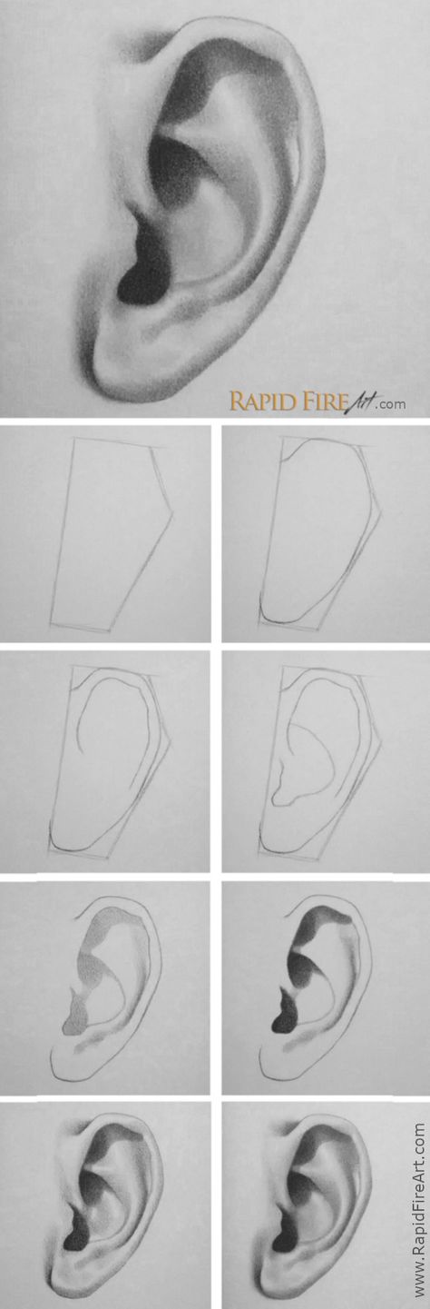 How To Draw Ears, Diy Step, Seni Dan Kraf, Pencil Drawings Easy, Art Drawings Sketches Pencil, Sketchbook Pages, Pencil Art Drawings, Art Drawings Sketches Creative, Book Art Drawings