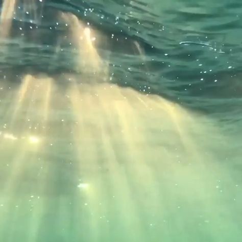 Ocean Lovers | Marine Life on Instagram: “There is something so tranquil about the sun’s rays shining through the surface of the ocean 🌊 Beautiful clip by @ryanpernofski 🎥🙌😍 🎶:…” Green Pastures, Water Aesthetic, Mermaid Aesthetic, Alam Yang Indah, Nature Aesthetic, Pretty Places, Green Aesthetic, Under The Sea, Pretty Pictures