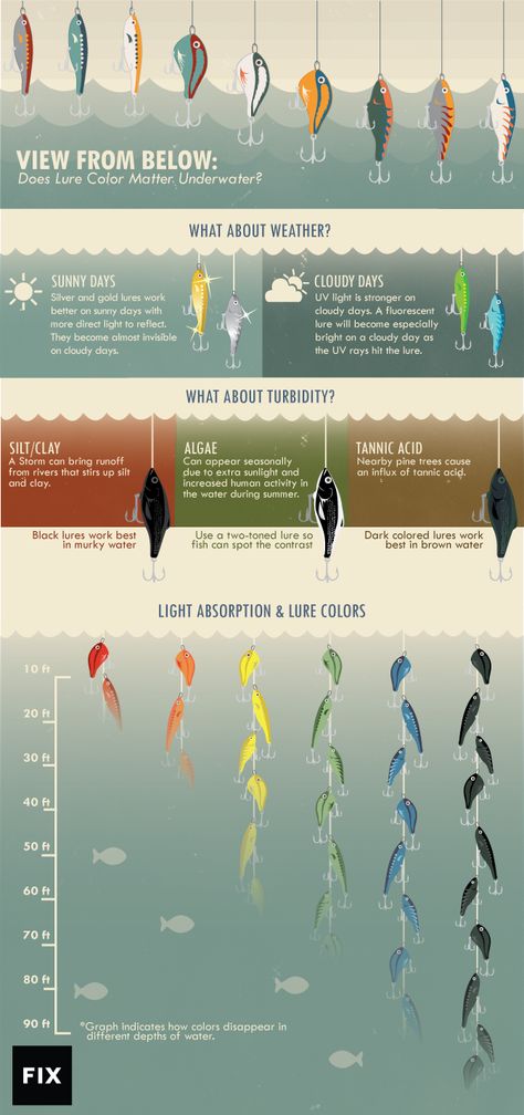 So you're thinking about going fishing. This might help. - Album on Imgur Pesca In Mare, Saltwater Fishing Lures, Fishing 101, Bass Fishing Tips, Fishing Rigs, Fishing Techniques, Crappie Fishing, Fishing Knots, Freshwater Fishing