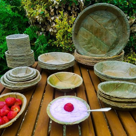 Beautiful Disposables Made from Leaves. Sal Leaf Plates, Disposable Dishes, Eco Project, Spy Devices, Environmentally Friendly Living, Palm Leaf Plates, Leaf Plate, Food Pack, Eco Packaging