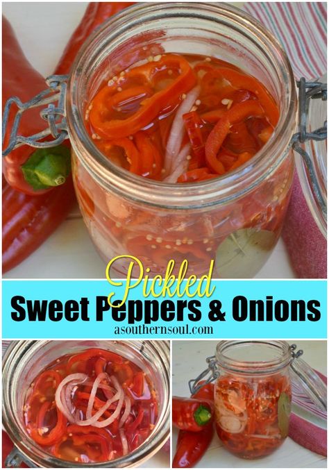 Sweet red peppers along with Vidalia onions all in a bright, salty brine is a match made in heaven. Even if you are not much of a pickle person, you’ll love this combination of flavors when you add them to your burger or along side grilled chicken or pork and on top of tacos. #peppers #pickles #pickling #sweet #spicy Pickled Red Onions And Peppers, Canned Peppers And Onions, What To Do With Red Peppers, Sweet Red Pepper Recipes, Pickled Red Peppers Recipe, Pickled Red Peppers, Picked Peppers, Pickle Flavors, Pickled Sweet Peppers